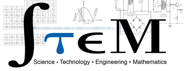 stem